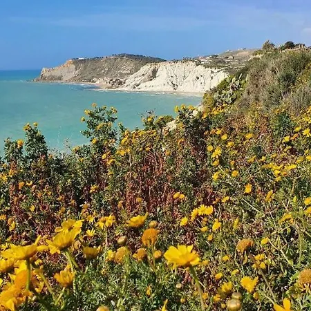 Sailing Yacht * Realmonte